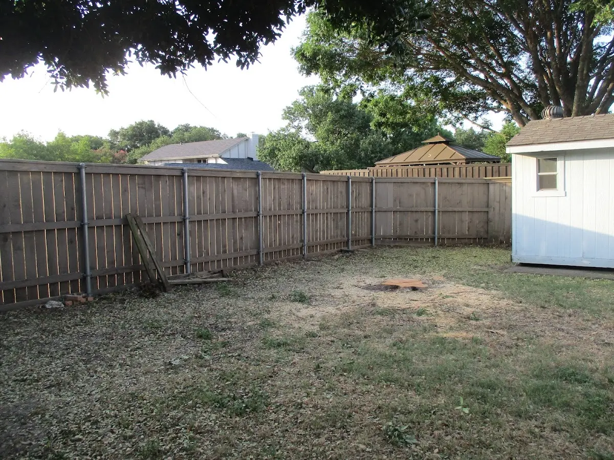 Cleared yard after professional tree removal in Mayfield